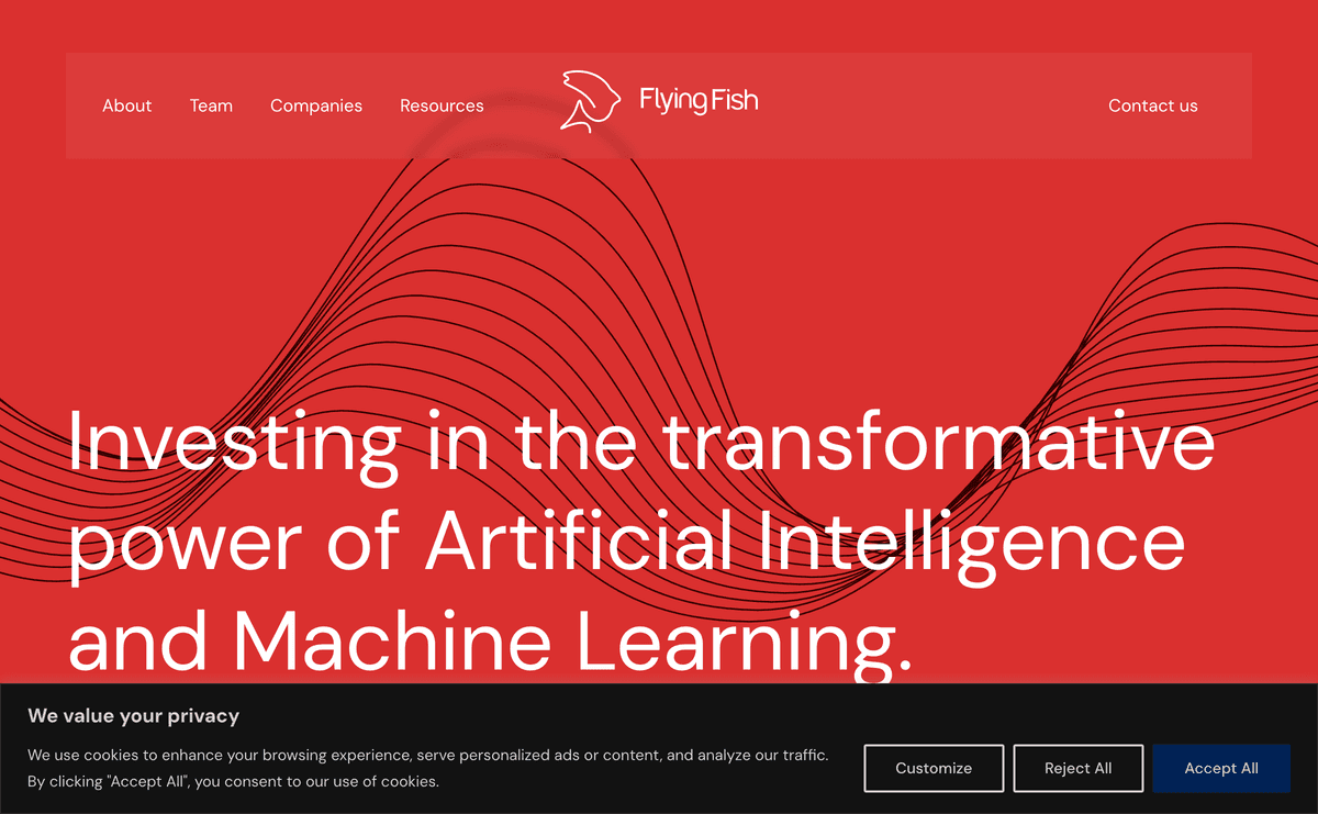 Site web flyingfish.vc