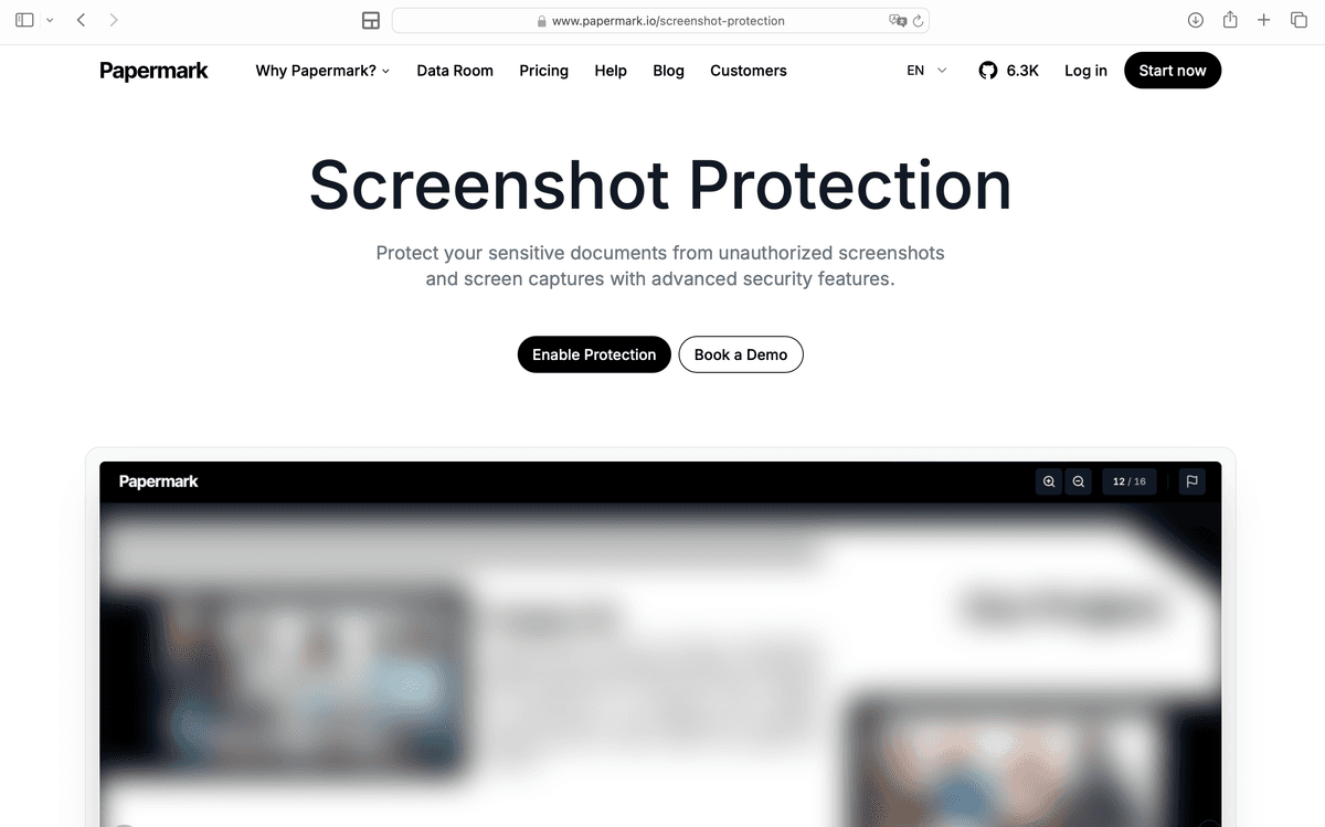 Screenshot protection applied to penetration test findings in a technical due diligence data room