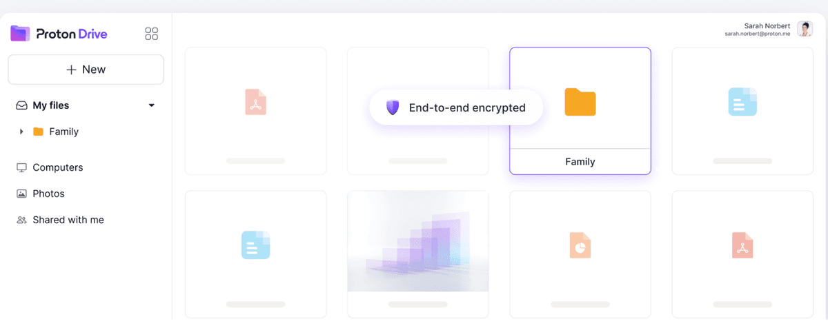 ProtonDrive platform